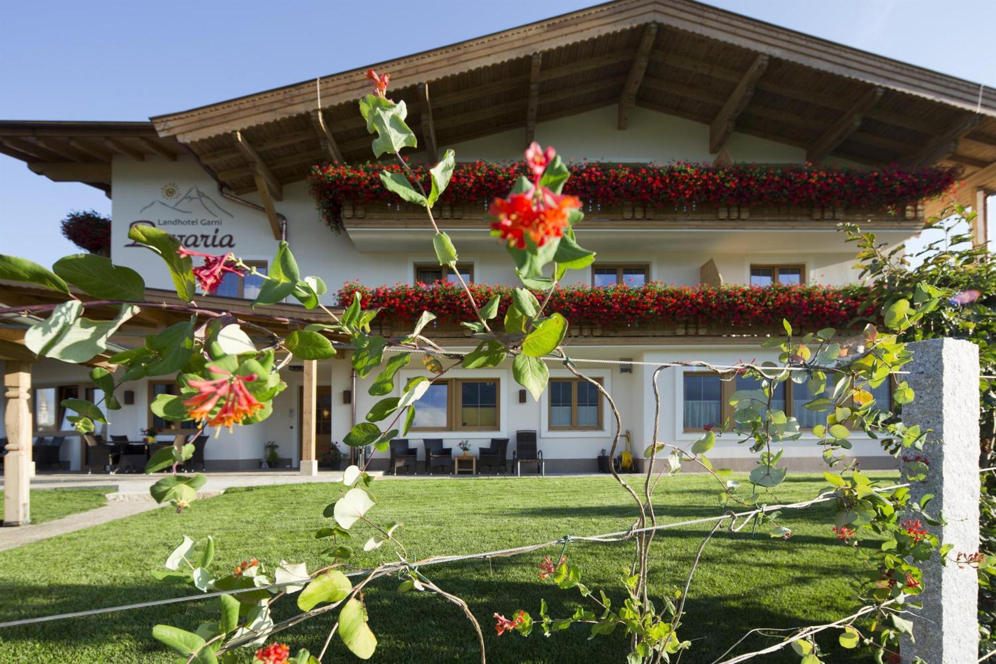Hotel Garni Bavaria Ellmau Buitenkant foto